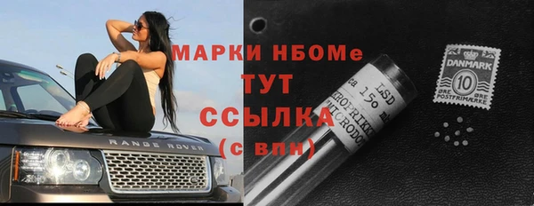 индика Киренск