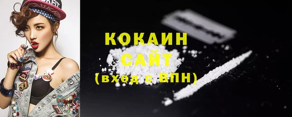 индика Киренск