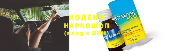 индика Киренск