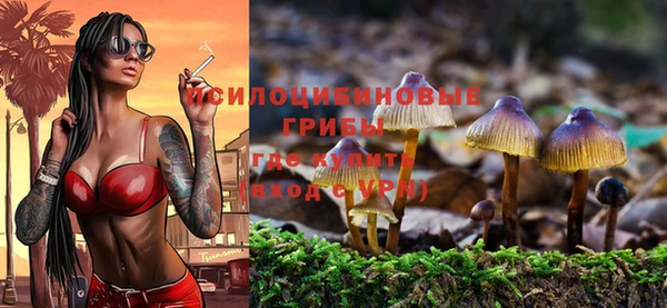 индика Киренск