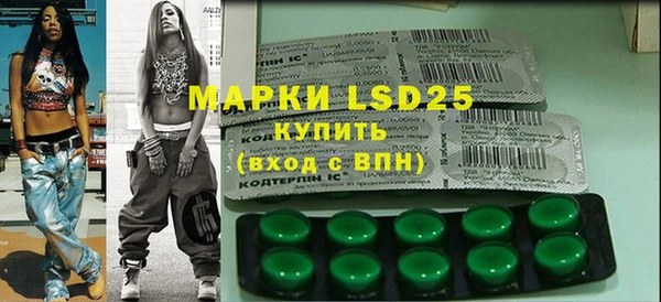 индика Киренск