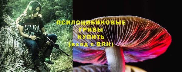индика Киренск