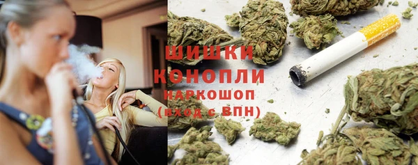 индика Киренск