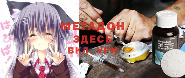 индика Киренск