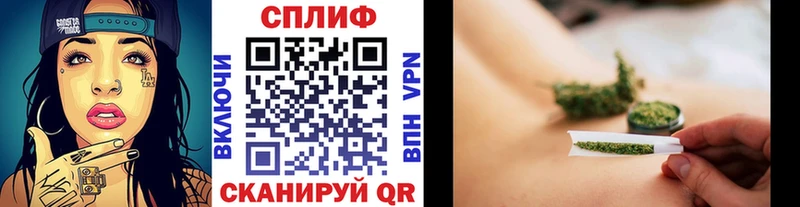 Купить где  Магас  Шишки марихуана план 